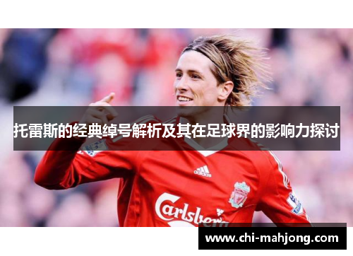 托雷斯的经典绰号解析及其在足球界的影响力探讨 托雷斯的经典绰号解析及其在足球界的影响力探讨